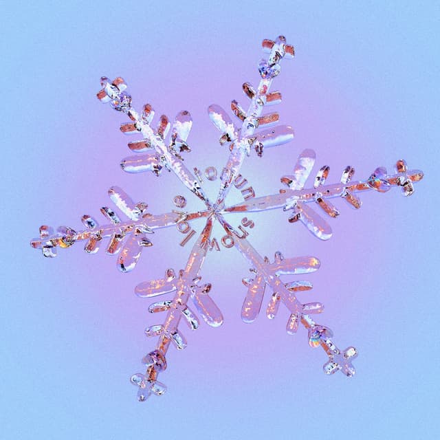 Album cover art for snow love