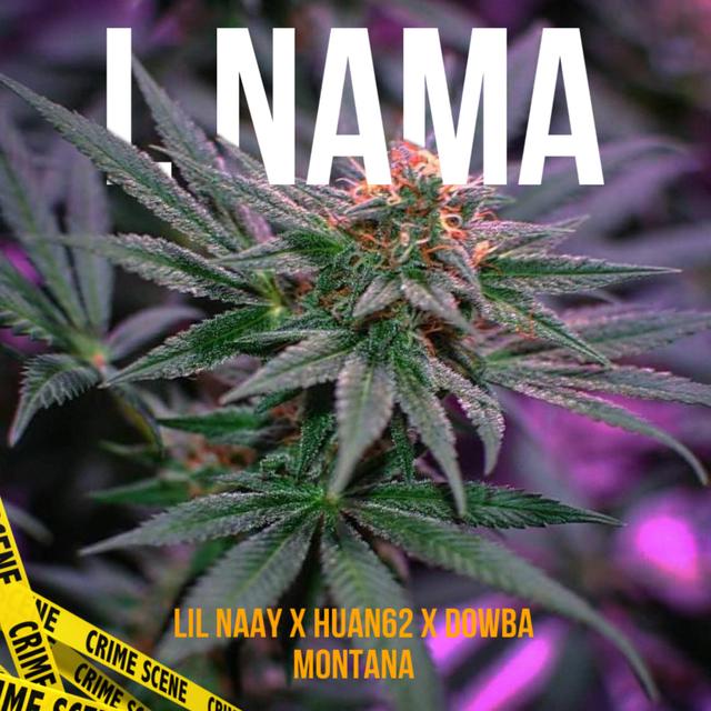 Album cover art for L NAMA