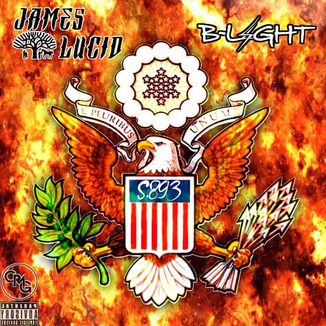 Album cover art for S.893