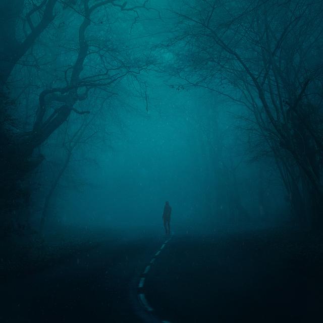 Album cover art for Snowfall (Slowed + Reverb)