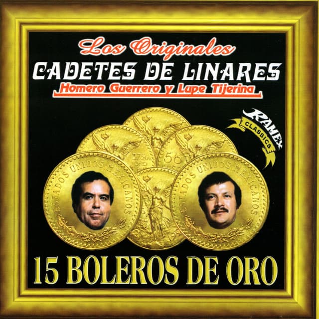 Album cover art for 15 Boleros
