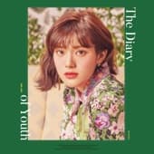 Album cover art for The Diary of Youth