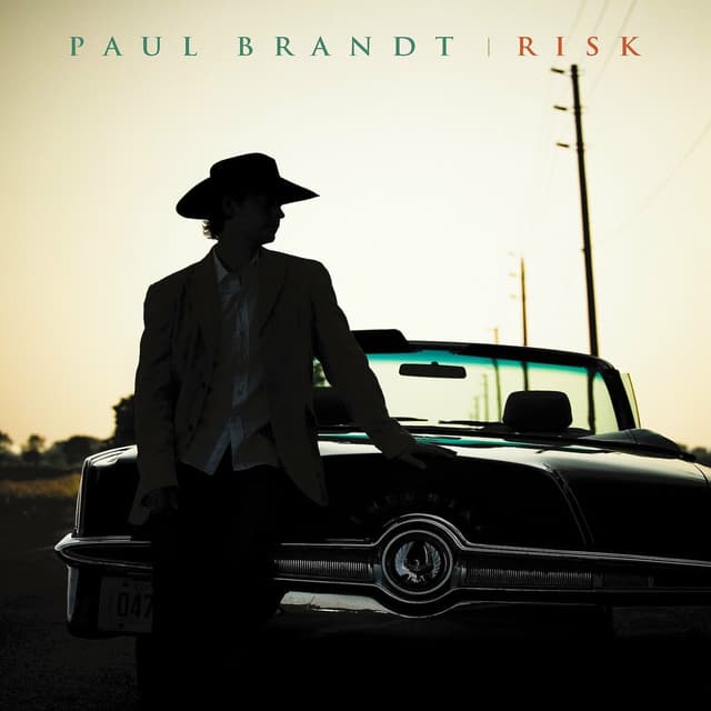 Album cover art for Risk