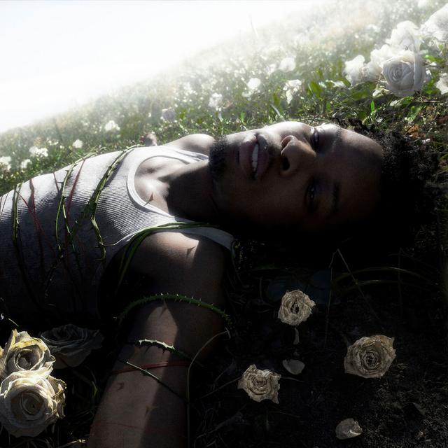 Album cover art for Withered