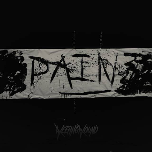Album cover art for Pain