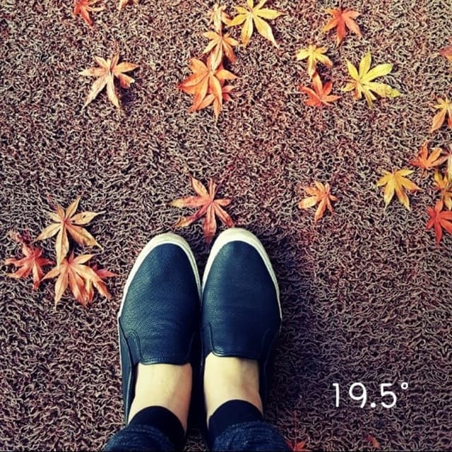 Album cover art for [19.5]