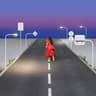ビーナスベルト