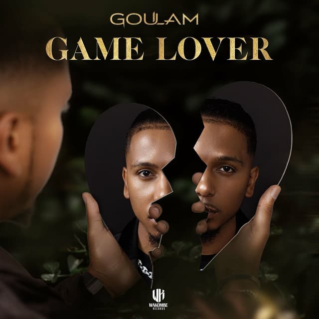 Album cover art for Game lover