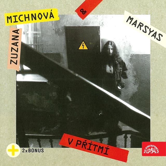 Album cover art for V Přítmí