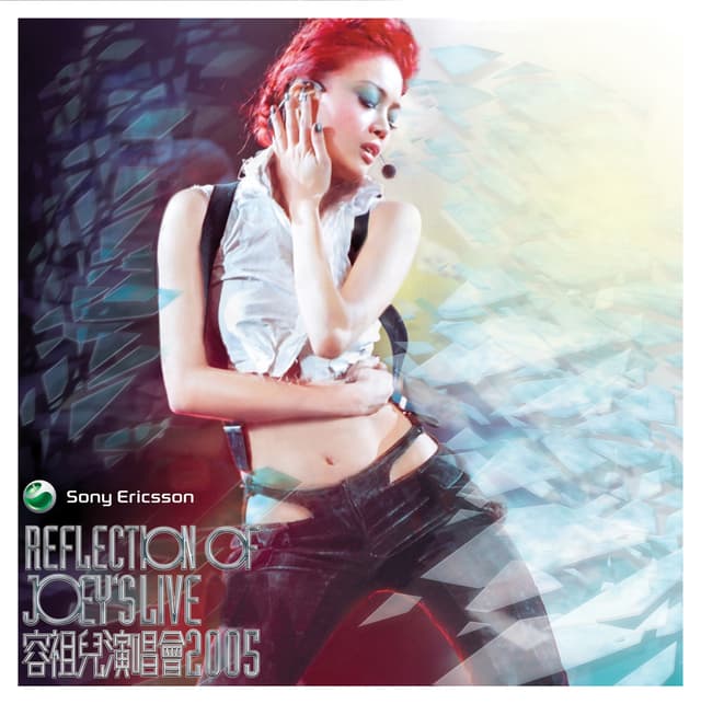 Album cover art for Reflection of Joey's Live 2005