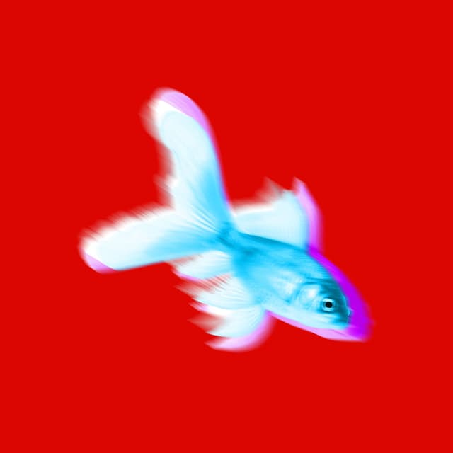 Album cover art for Reverse Psychology