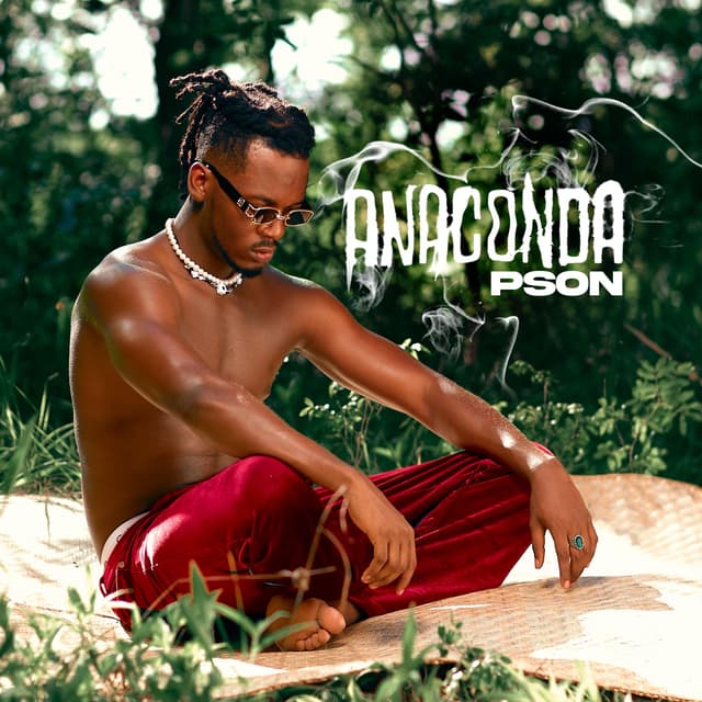 Album cover art for Anaconda
