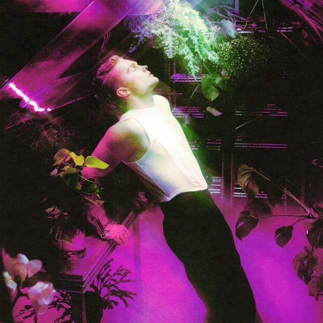 Album cover art for Hoida mut