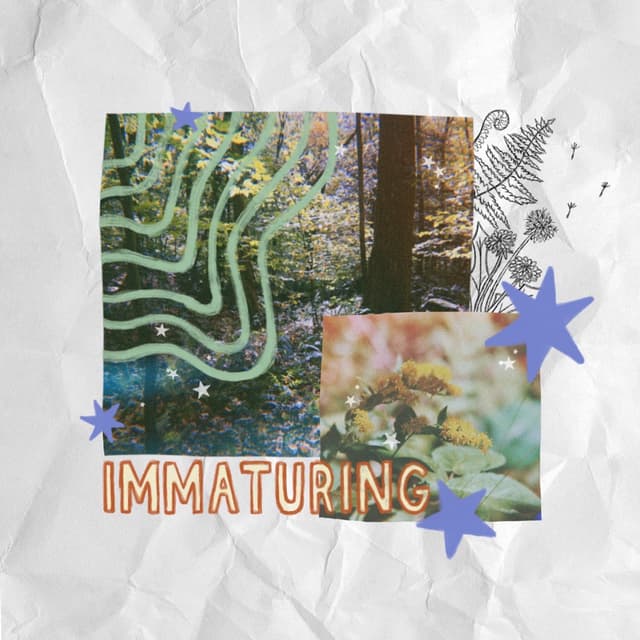 Album cover art for Immaturing