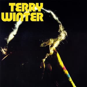Album cover art for Terry Winter