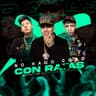 No Hago Coro Con Ratas