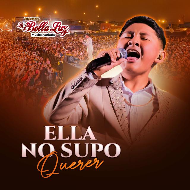Album cover art for Ella No Supo Querer