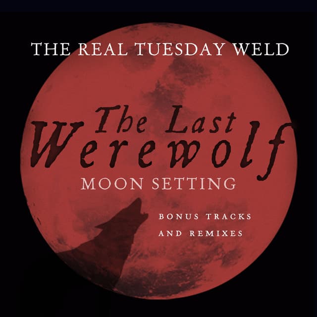 Album cover art for Moon Setting
