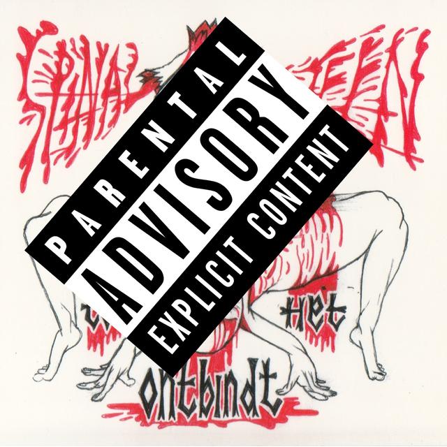 Album cover art for Tot Het Ontbindt