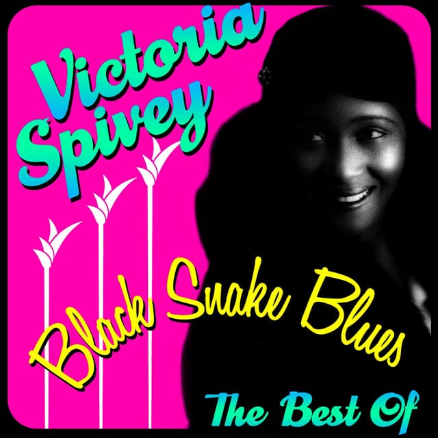 Album cover art for Black Snake Blues - The Best Of