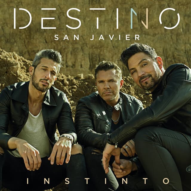 Album cover art for Instinto