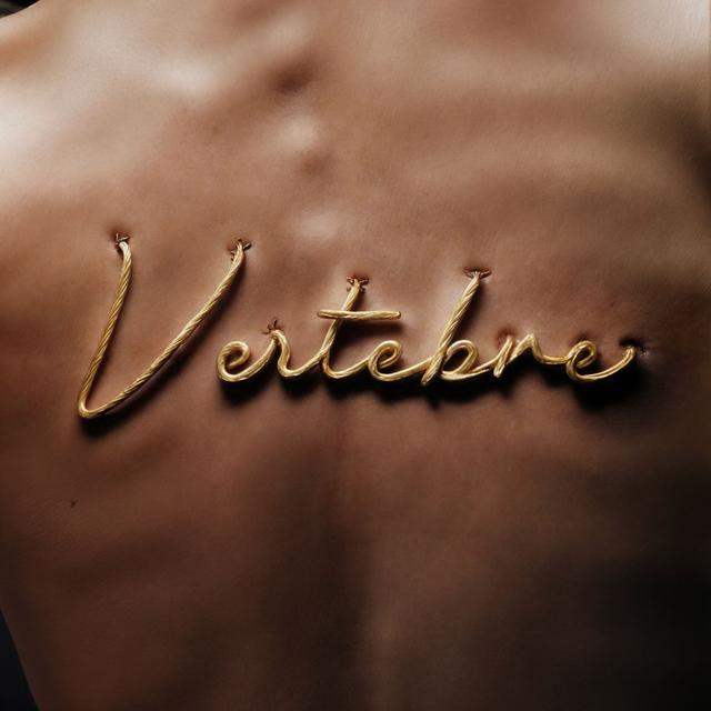 Album cover art for Vertebre