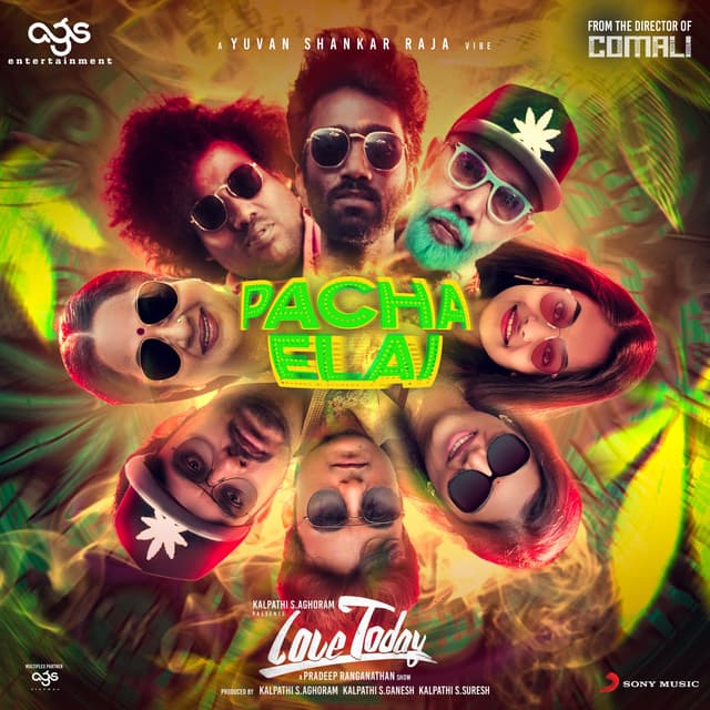 Album cover art for Pacha Elai