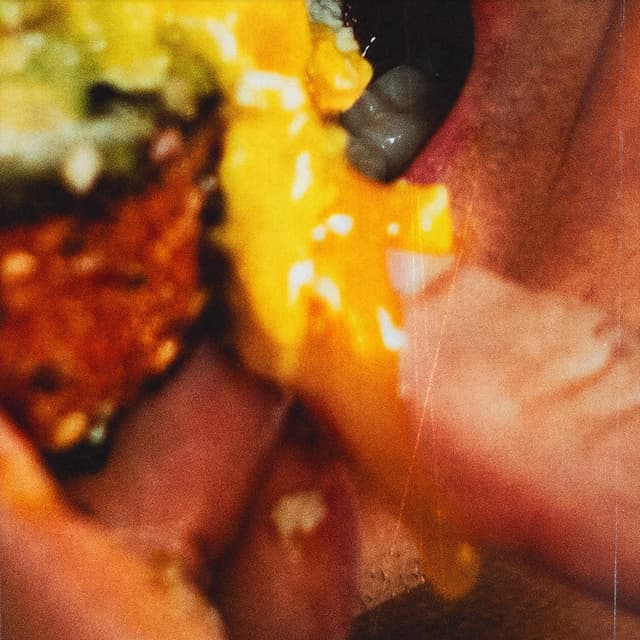 Album cover art for AVO TOAST