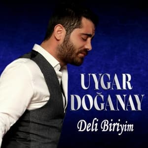 Album cover art for Deli Biriyim