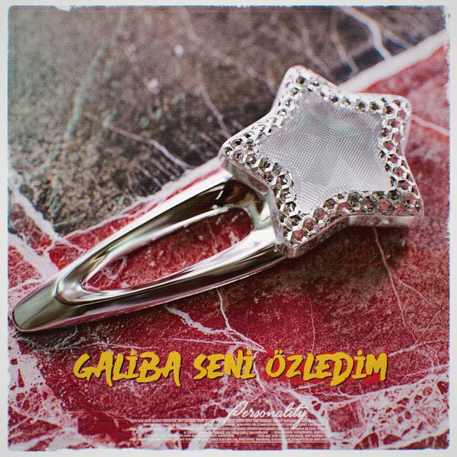 Album cover art for Galiba Seni Özledim