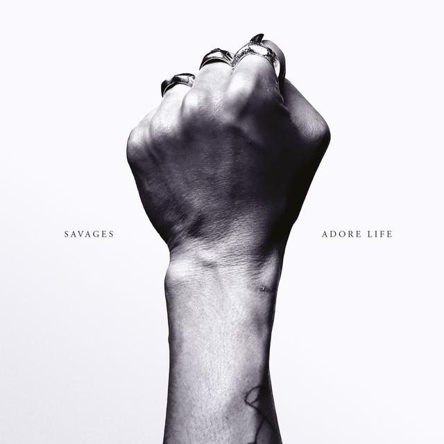 Album cover art for Adore Life