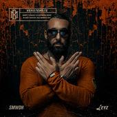 Album cover art for Verstehste