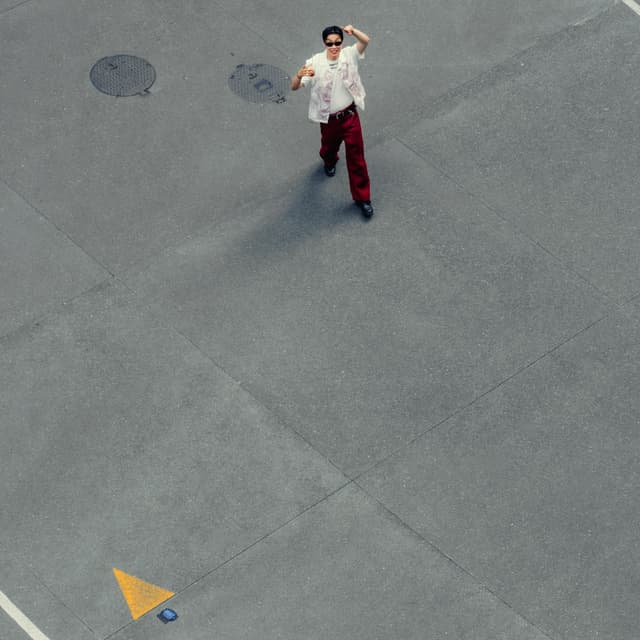 Album cover art for Commercial Posh