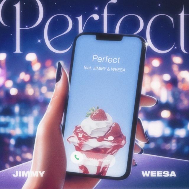 Album cover art for Perfect