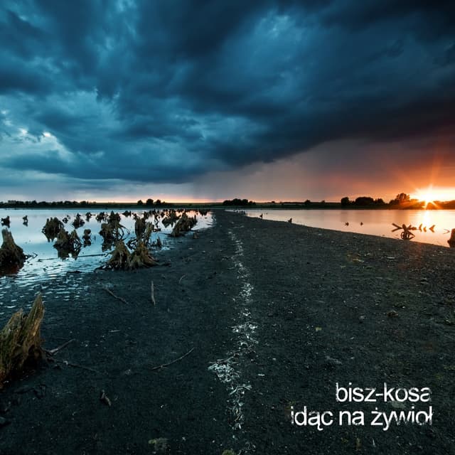 Album cover art for Idąc Na Żywioł