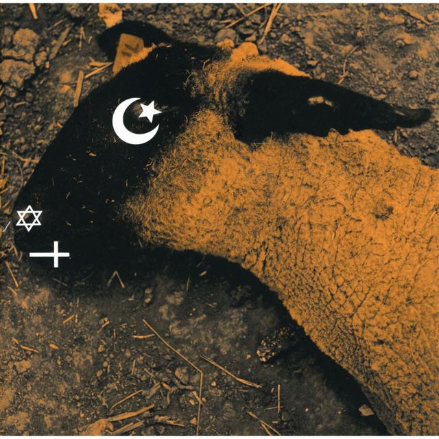 Album cover art for Animositisomina