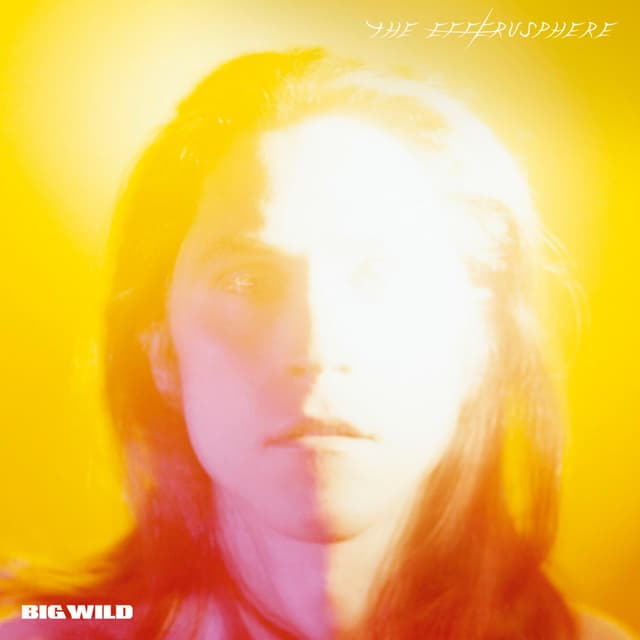 Album cover art for The Efferusphere