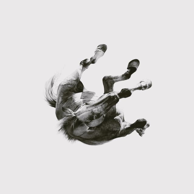 Album cover art for Dark Is the Way, Light Is a Place