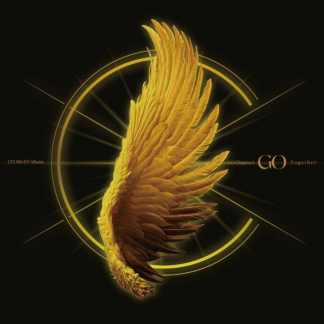 Album cover art for GO Chapter 1 : GO Together