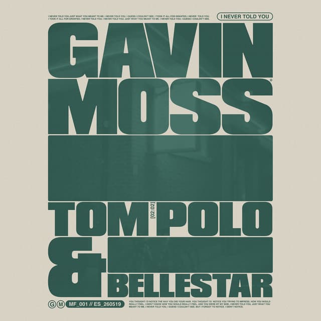 Album cover art for I Never Told You