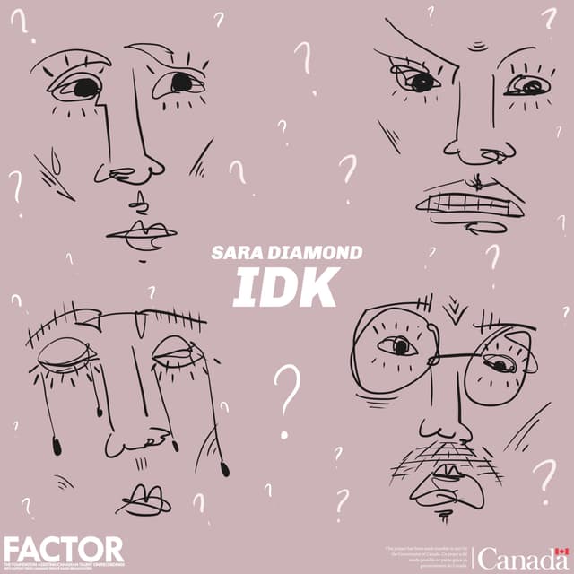 Album cover art for IDK