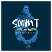 Album cover art for Free as a Bird : Bonus Tracks