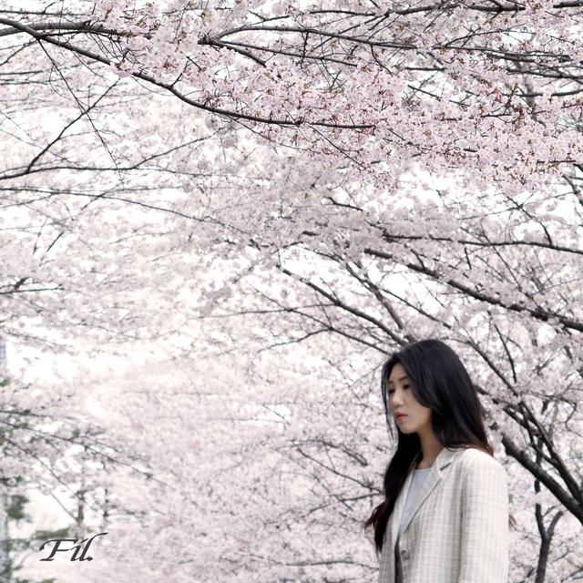 Album cover art for Go back to winter