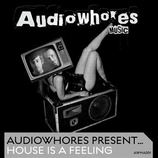 Album cover art for Audiowhores Present House Is A Feeling