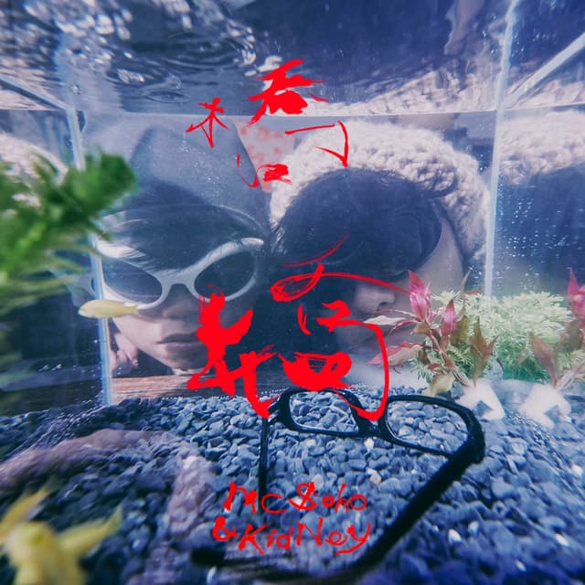 Album cover art for 橋橋