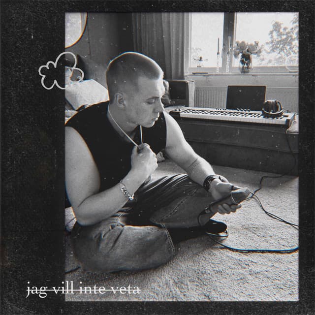 Album cover art for jag vill inte veta