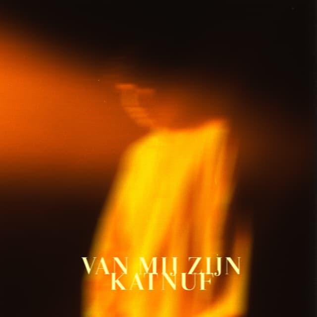 Album cover art for Van Mij Zijn