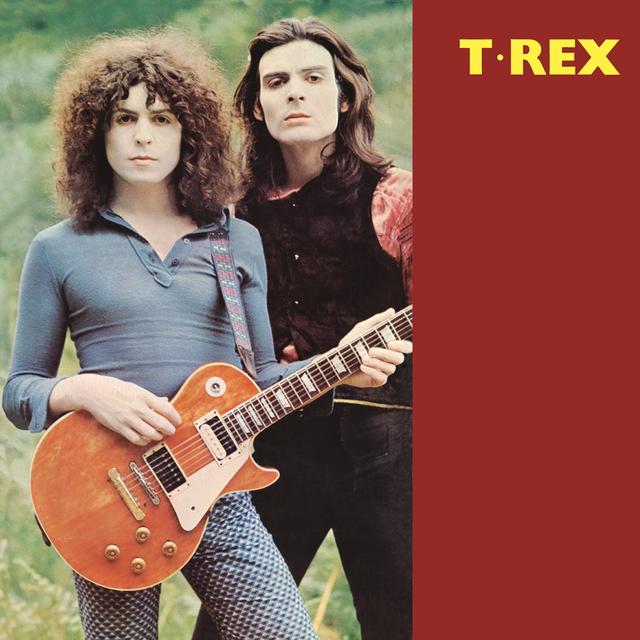 Album cover art for T. Rex