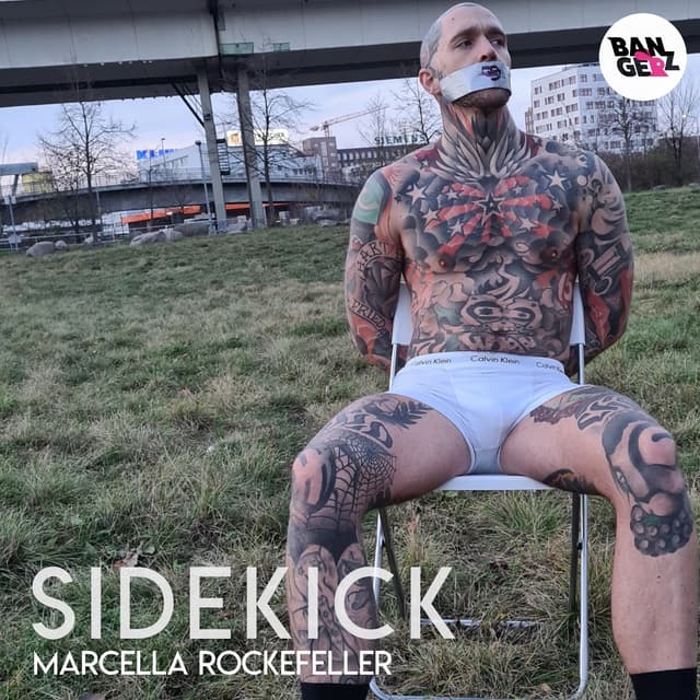 Album cover art for Sidekick