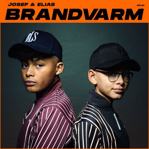 Album cover art for Brandvarm